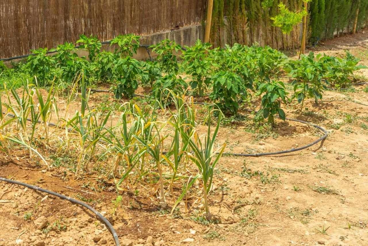 Casa Rural Don Lope El Canuelo  Zewnętrze zdjęcie